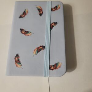 Small Blue Notebook with Feathers