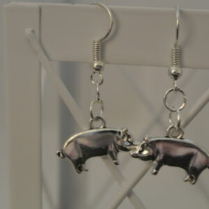 Silver Pig                                         21